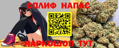 крисы Будённовск